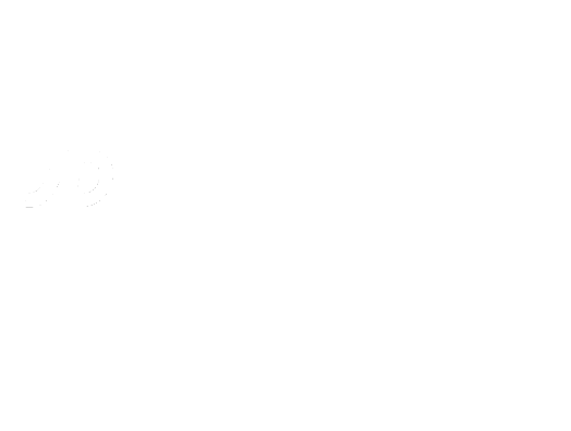 Logo for JD Finish Line Foundation